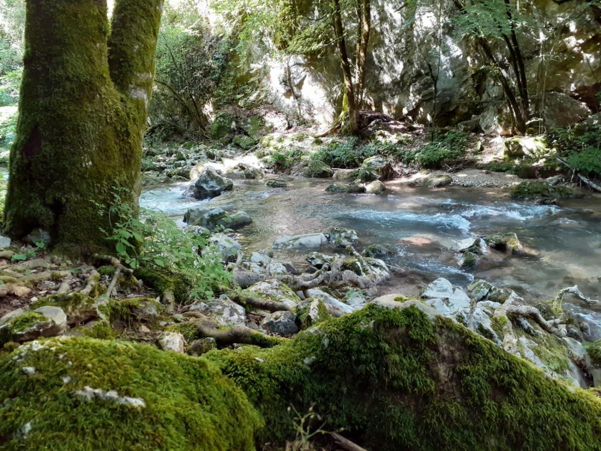 Casetta Nel Borgo Olevano Romano Bagian luar foto