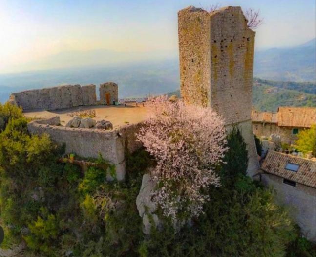 Casetta Nel Borgo Olevano Romano Bagian luar foto