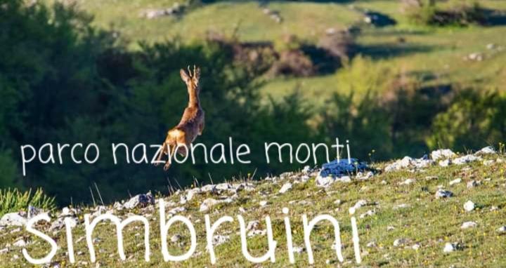 Casetta Nel Borgo Olevano Romano Bagian luar foto