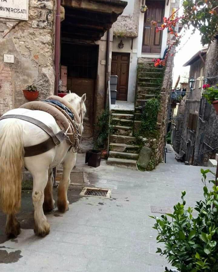 Casetta Nel Borgo Olevano Romano Bagian luar foto