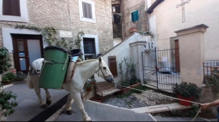 Casetta Nel Borgo Olevano Romano Bagian luar foto