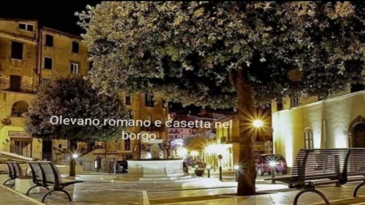 Casetta Nel Borgo Olevano Romano Bagian luar foto