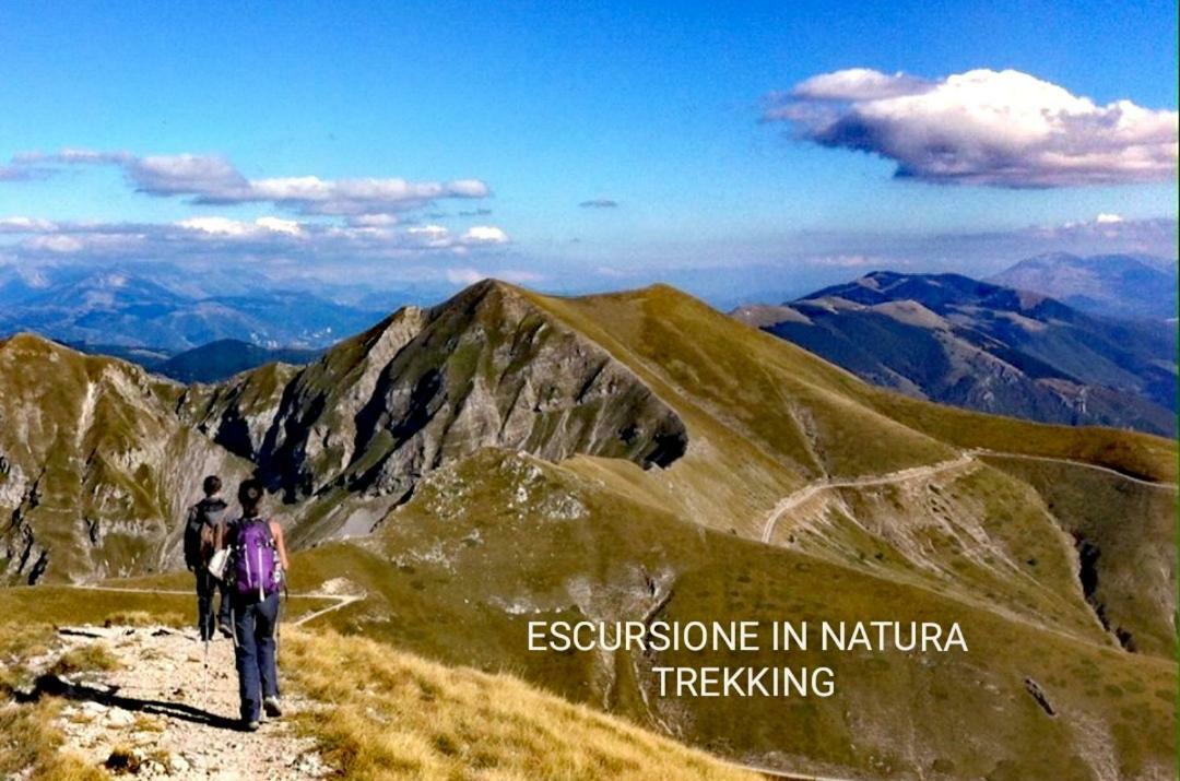 Casetta Nel Borgo Olevano Romano Bagian luar foto