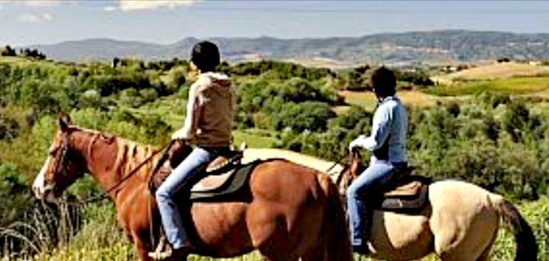 Casetta Nel Borgo Olevano Romano Bagian luar foto